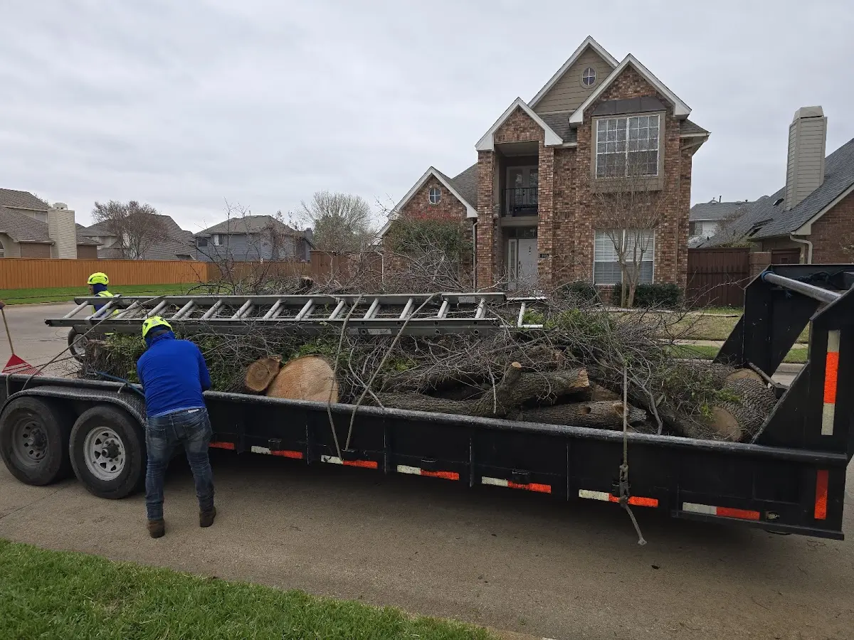 Expert Tree Pest Control with proper safety equipment in Ridgeland